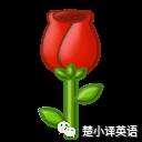 中考英语 | 中考完型填空专练25-第2张图片-四季读书网