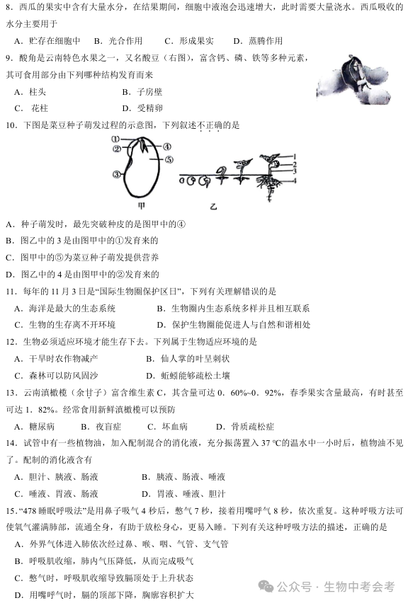 2024中考模拟试题赏——1-第2张图片-四季读书网