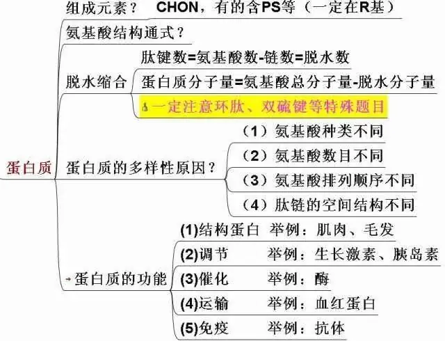 高考生物:高频考点总结,直观又详细!-第5张图片-四季读书网