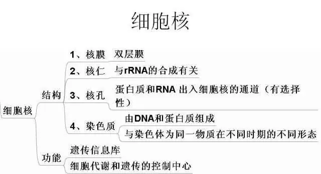 高考生物:高频考点总结,直观又详细!-第16张图片-四季读书网