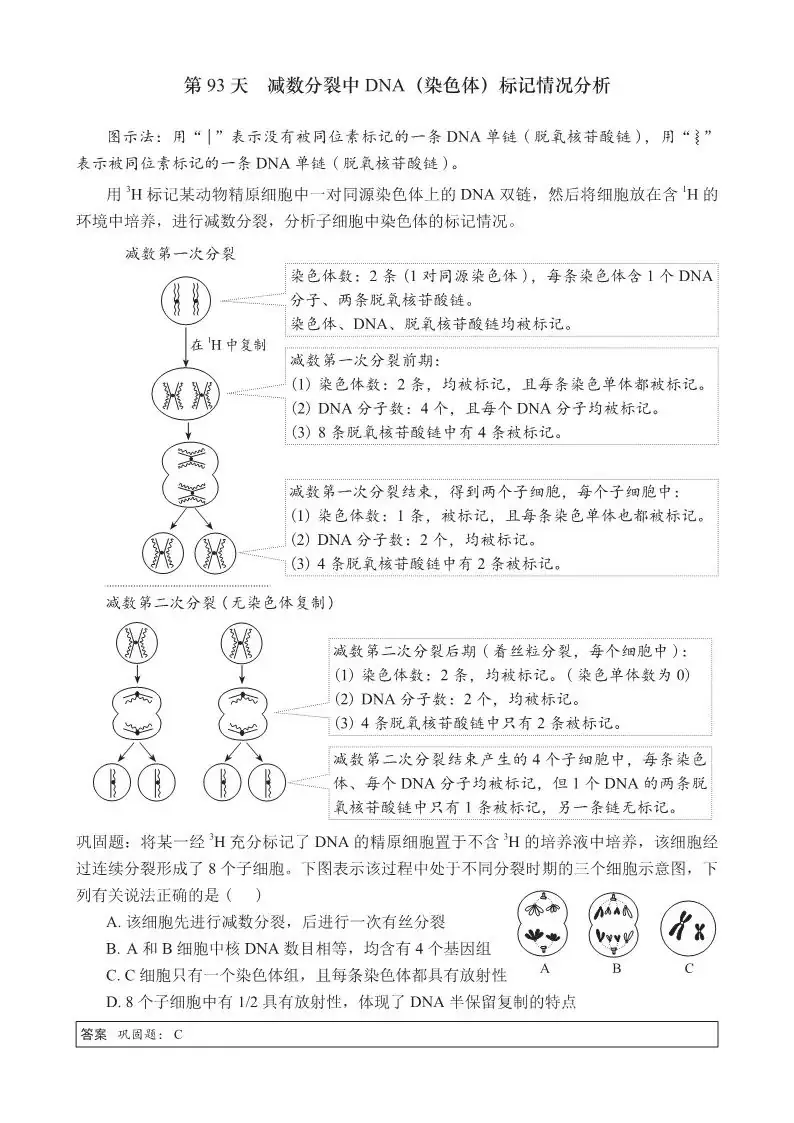 【高考必背】高中生必备,高中生物天天记,问题导学,180天有计划记忆基础知识-第19张图片-四季读书网