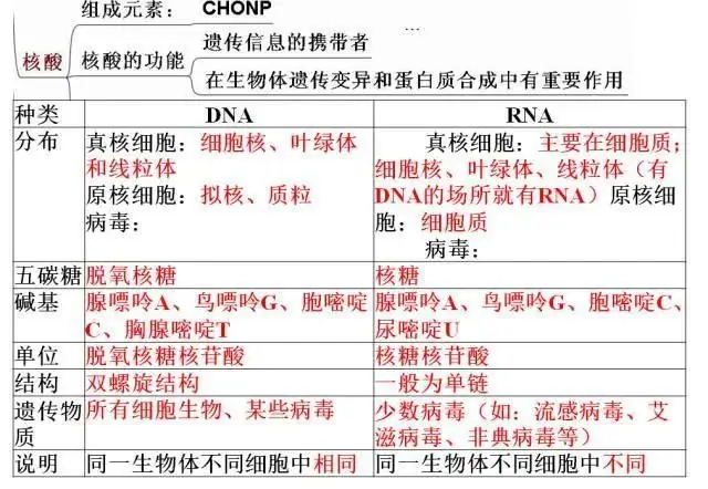 高考生物:高频考点总结,直观又详细!-第6张图片-四季读书网