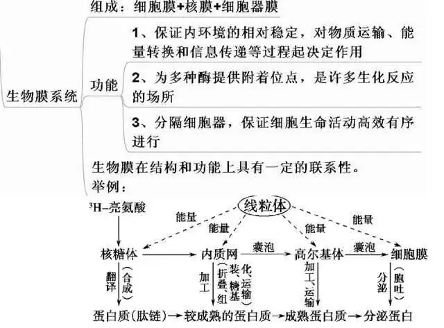 高考生物:高频考点总结,直观又详细!-第19张图片-四季读书网