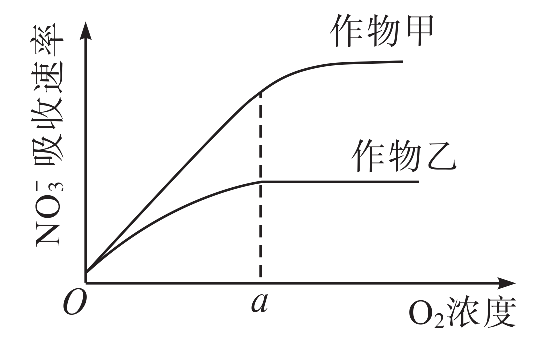 【高考真题】2022年全国乙卷生物试题-第2张图片-四季读书网