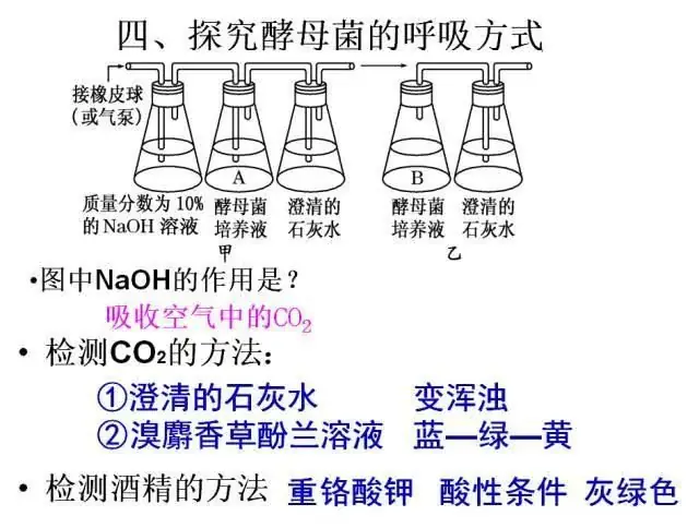 高考生物:高频考点总结,直观又详细!-第27张图片-四季读书网