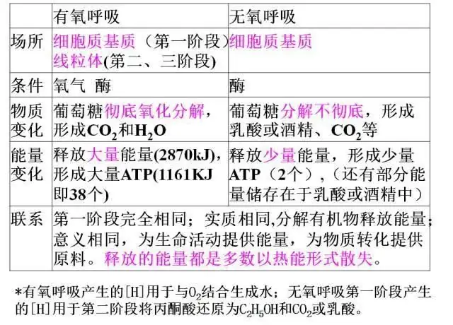 高考生物:高频考点总结,直观又详细!-第25张图片-四季读书网