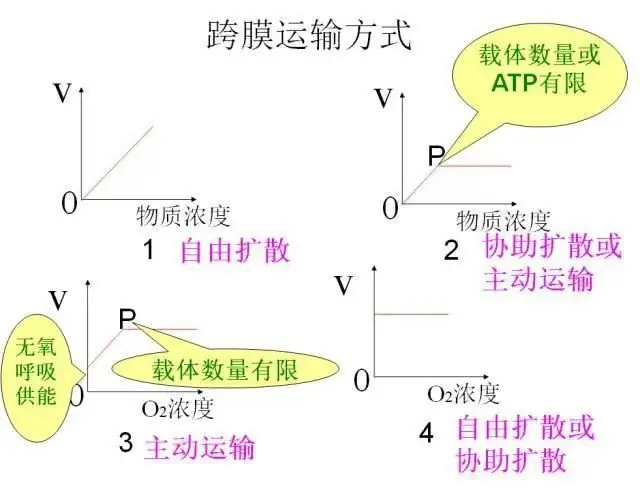 高考生物:高频考点总结,直观又详细!-第12张图片-四季读书网