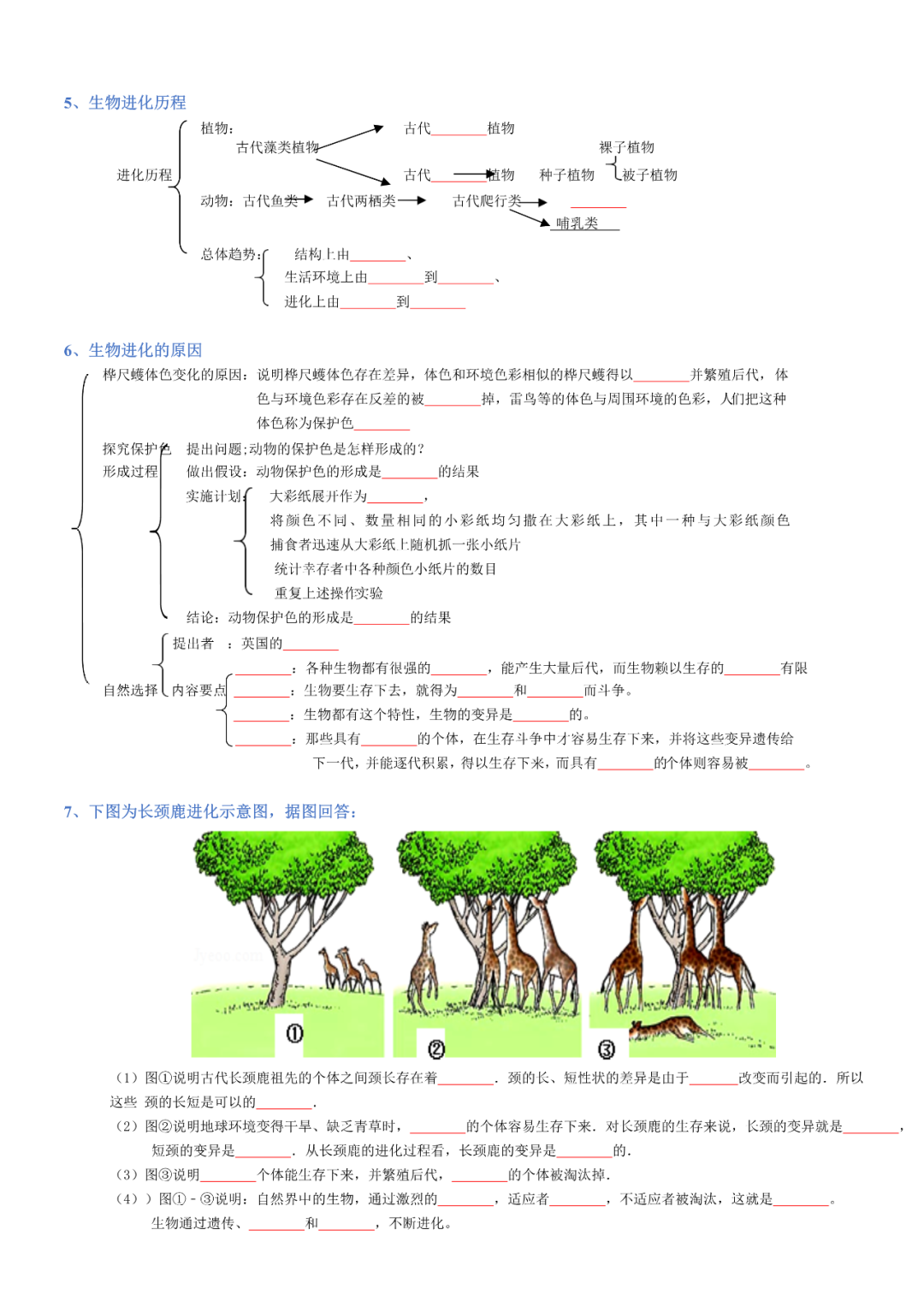 生物——八年级下册中考必背考点分册梳理-第24张图片-四季读书网