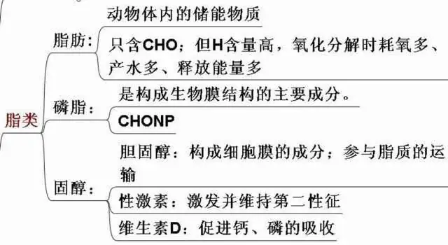 高考生物:高频考点总结,直观又详细!-第4张图片-四季读书网