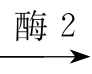 【高考真题】2022年全国乙卷生物试题-第4张图片-四季读书网