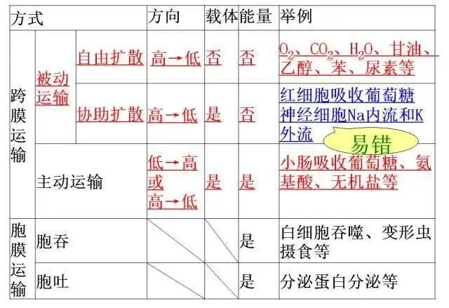 高考生物:高频考点总结,直观又详细!-第11张图片-四季读书网