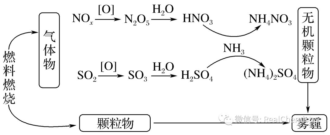 高考化学如何提升选择题解题策略及审题能力-第14张图片-四季读书网