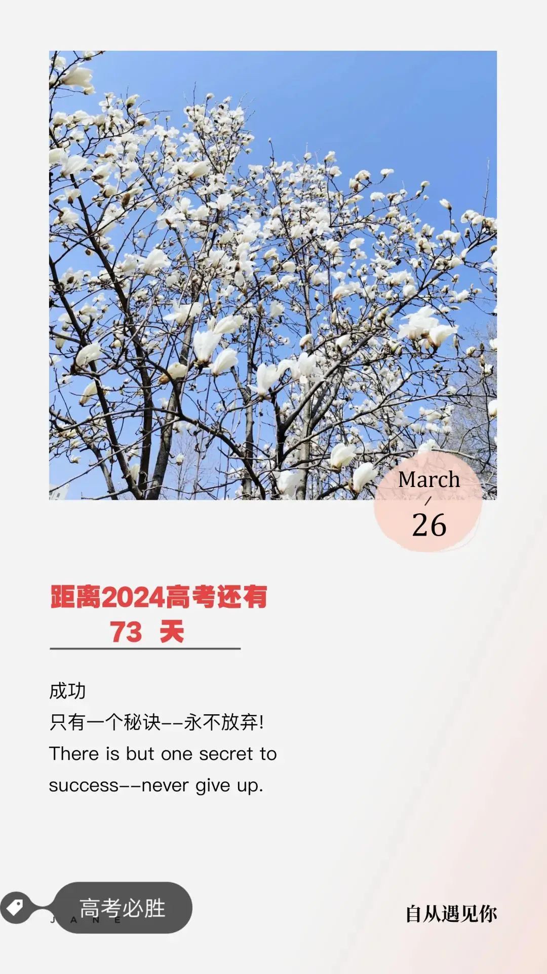2024高考倒计时: 73 天-第1张图片-四季读书网