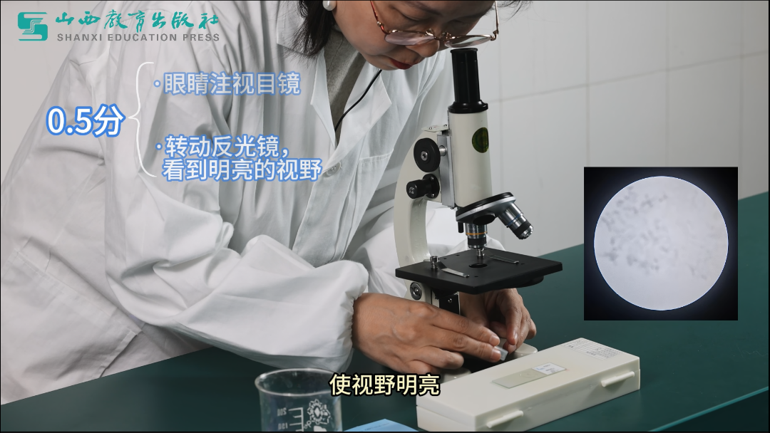 2024年最新拍摄!山西省中考生物实验操作视频,直击考试得分要点!-第16张图片-四季读书网 2024年最新拍摄!山西省中考生物实验操作视频,直击考试得分要点!-第16张图片-四季读书网