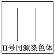 讲高考寻规律2:摩尔根连锁与互换定律(2)-第1张图片-四季读书网 讲高考寻规律2:摩尔根连锁与互换定律(2)-第1张图片-四季读书网
