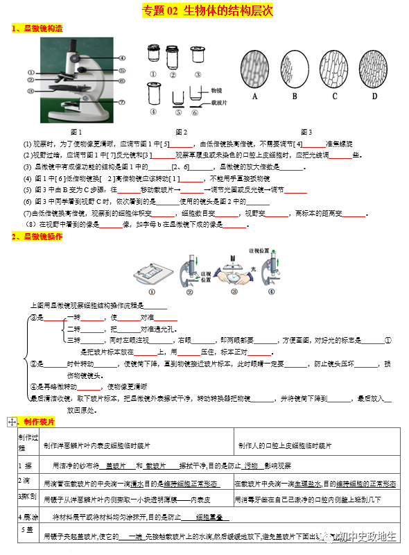 2024中考会考【生物】知识点复习背诵秘笈填空版(全国通用)-第4张图片-四季读书网 2024中考会考【生物】知识点复习背诵秘笈填空版(全国通用)-第4张图片-四季读书网