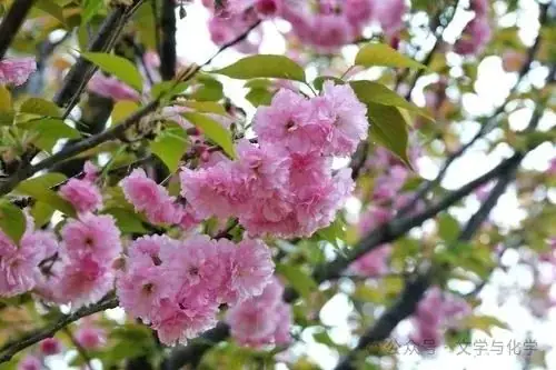 中考高分突破-学科渗透题-化学与其他学科-第3张图片-四季读书网 中考高分突破-学科渗透题-化学与其他学科-第3张图片-四季读书网