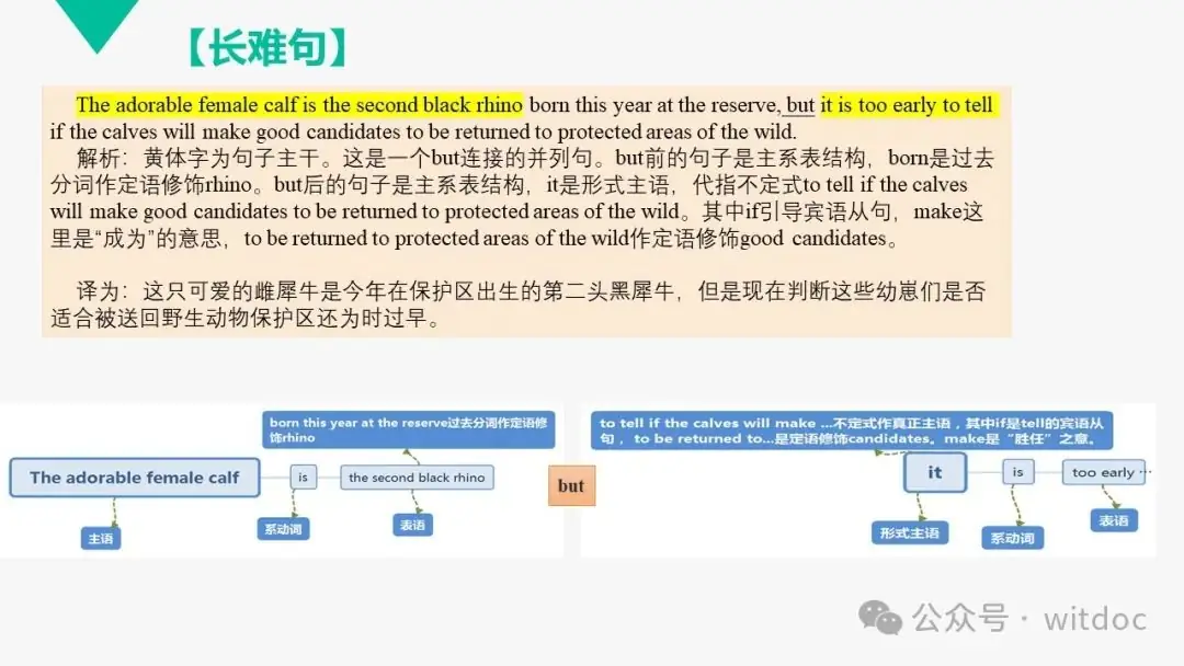 2021年高考英语甲卷真题PPT-第22张图片-四季读书网 2021年高考英语甲卷真题PPT-第22张图片-四季读书网