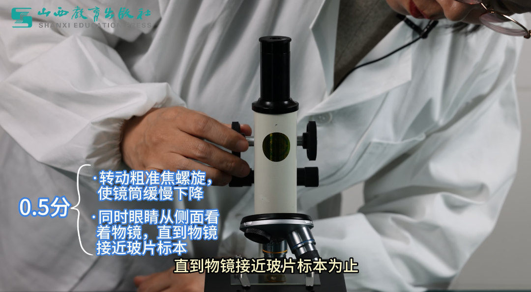 2024年最新拍摄!山西省中考生物实验操作视频,直击考试得分要点!-第15张图片-四季读书网 2024年最新拍摄!山西省中考生物实验操作视频,直击考试得分要点!-第15张图片-四季读书网