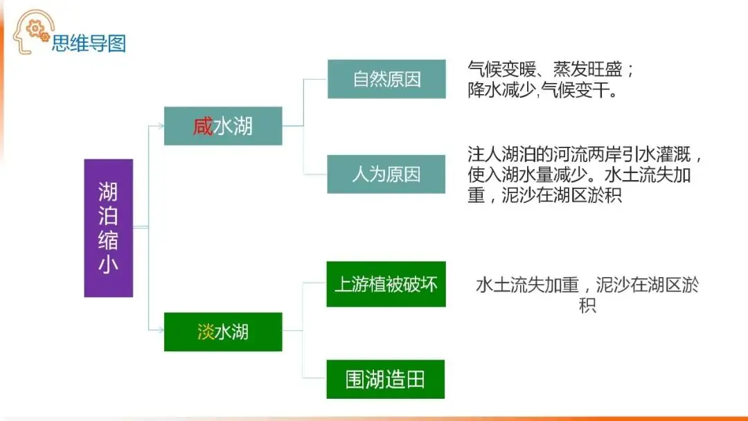 高考备考自然地理小专题思维导图大全-第51张图片-四季读书网