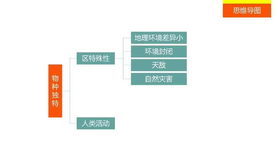 高考备考自然地理小专题思维导图大全-第111张图片-四季读书网
