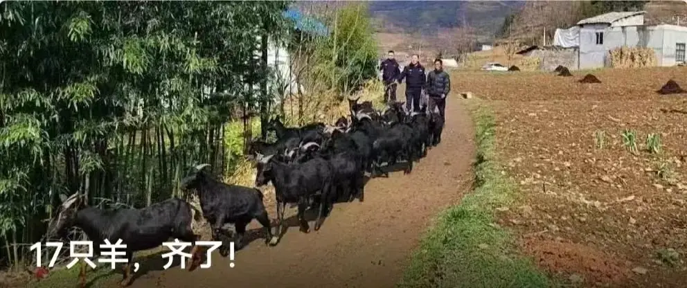 见分填报!昆明公开征求2024中考志愿填报调整意见-第20张图片-四季读书网