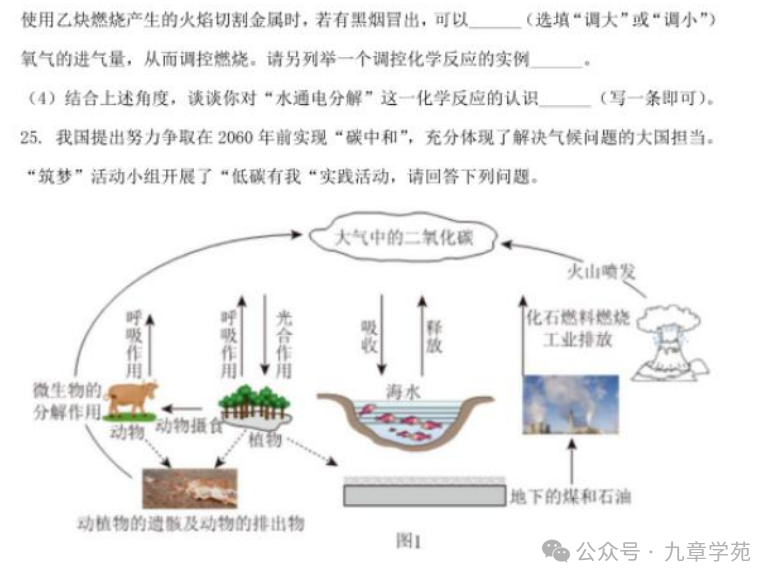 2023年中考青岛化学试题-第11张图片-四季读书网 2023年中考青岛化学试题-第11张图片-四季读书网