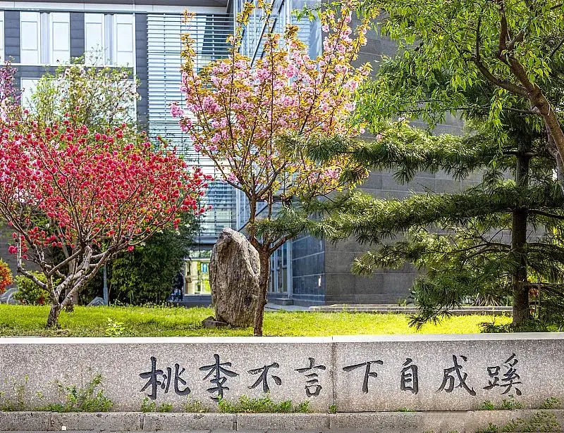 高考篇 | 前路漫漫亦灿灿——高考数语经验分享-第10张图片-四季读书网