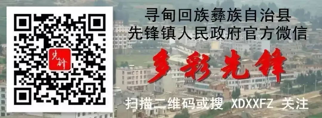 缅怀先烈 誓言青春 奋战中考 ——先锋镇初级中学2021年清明节祭扫活动暨中考誓师大会-第12张图片-四季读书网