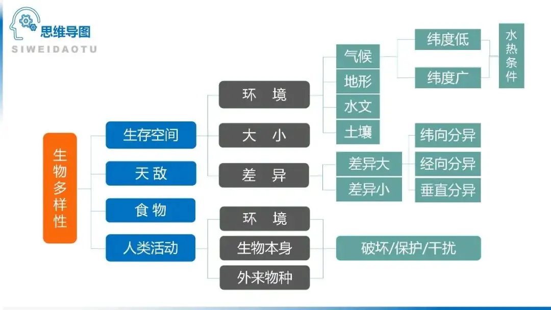 高考备考自然地理小专题思维导图大全-第110张图片-四季读书网