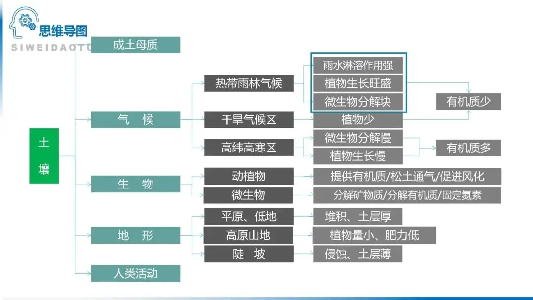 高考备考自然地理小专题思维导图大全-第118张图片-四季读书网