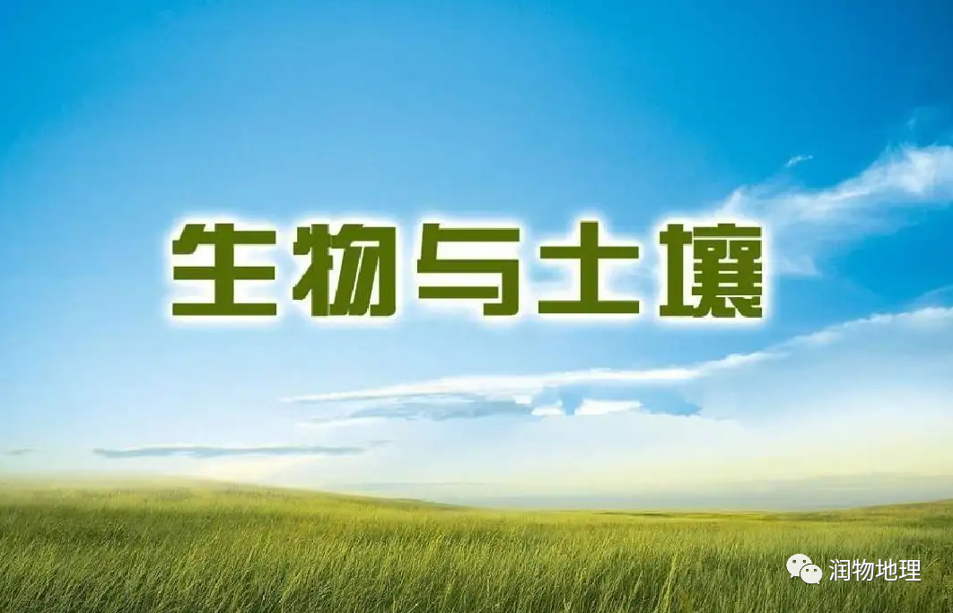 高考备考自然地理小专题思维导图大全-第108张图片-四季读书网