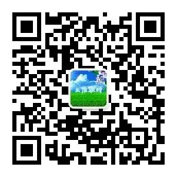 中考、高考考场注意事项及各科答题攻略,转给需要的孩子!(模考及中考、高考均适用)-第2张图片-四季读书网 中考、高考考场注意事项及各科答题攻略,转给需要的孩子!(模考及中考、高考均适用)-第2张图片-四季读书网