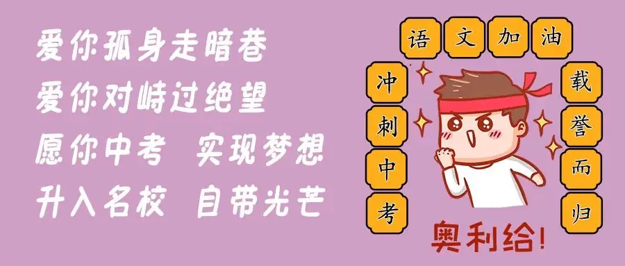 中考冲刺班,定制化语文教学-第5张图片-四季读书网 中考冲刺班,定制化语文教学-第5张图片-四季读书网