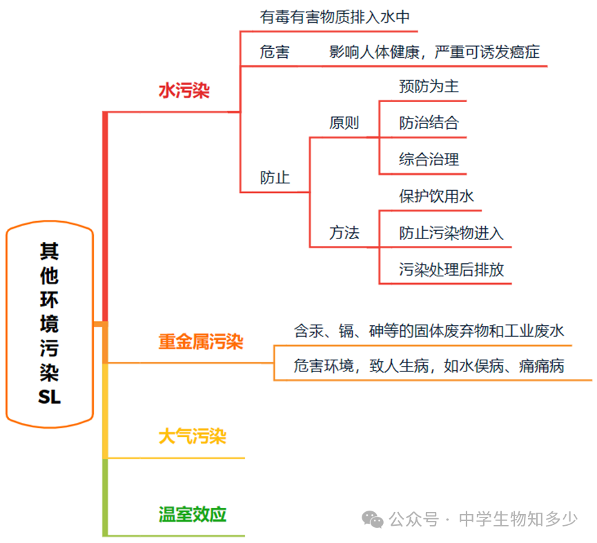 中考备考:人教版中考生物精品讲义4.7.2 探究环境污染对生物的影响-第3张图片-四季读书网