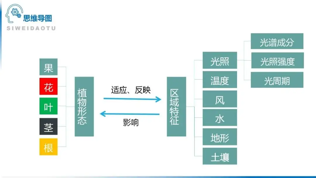 高考备考自然地理小专题思维导图大全-第116张图片-四季读书网