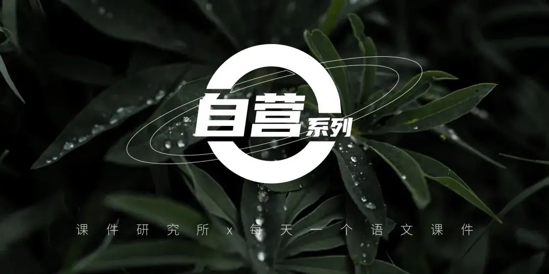 语文中考二轮专题复习2024年新版课件,满满提分干货,火热更新中~-第1张图片-四季读书网