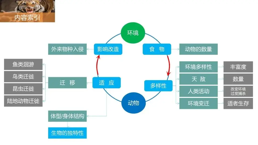 高考备考自然地理小专题思维导图大全-第109张图片-四季读书网