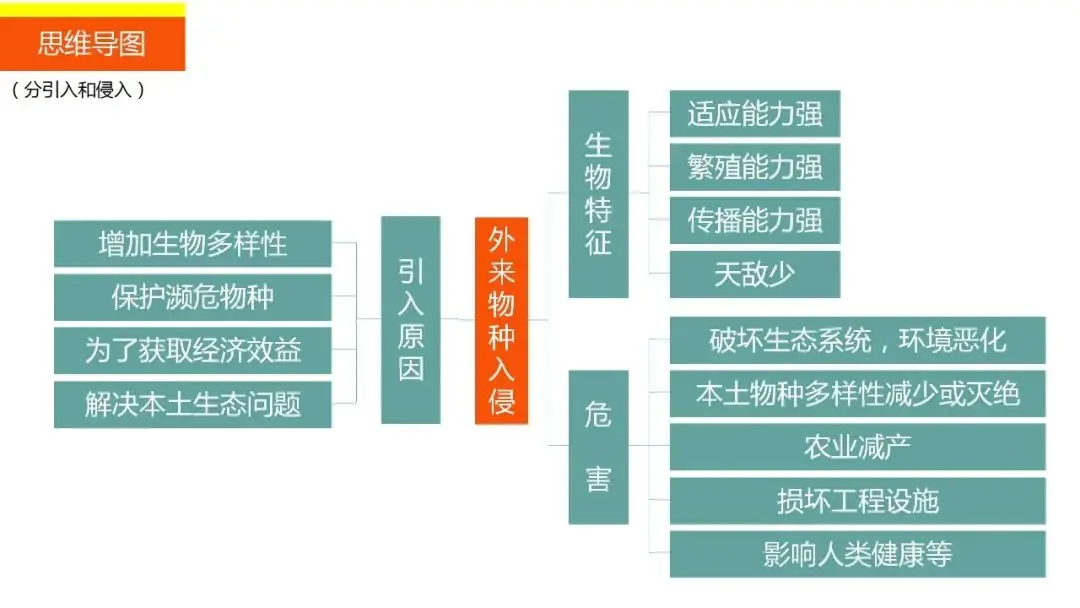 高考备考自然地理小专题思维导图大全-第113张图片-四季读书网