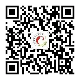 激扬斗志 逐梦中考——九年级中考誓师大会纪实-第32张图片-四季读书网