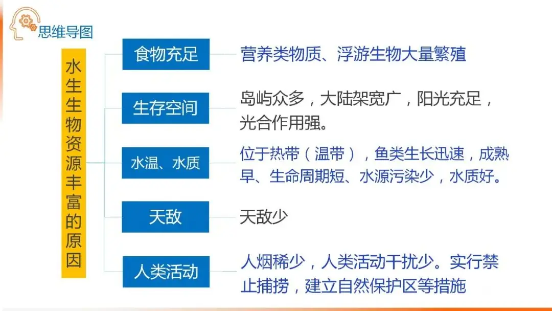 高考备考自然地理小专题思维导图大全-第49张图片-四季读书网