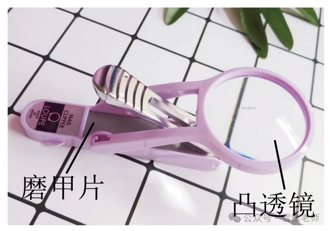 中考热门简答题-第3张图片-四季读书网