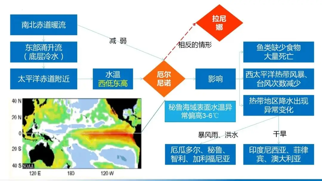 高考备考自然地理小专题思维导图大全-第69张图片-四季读书网