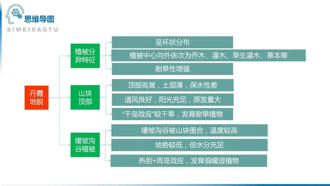 高考备考自然地理小专题思维导图大全-第97张图片-四季读书网