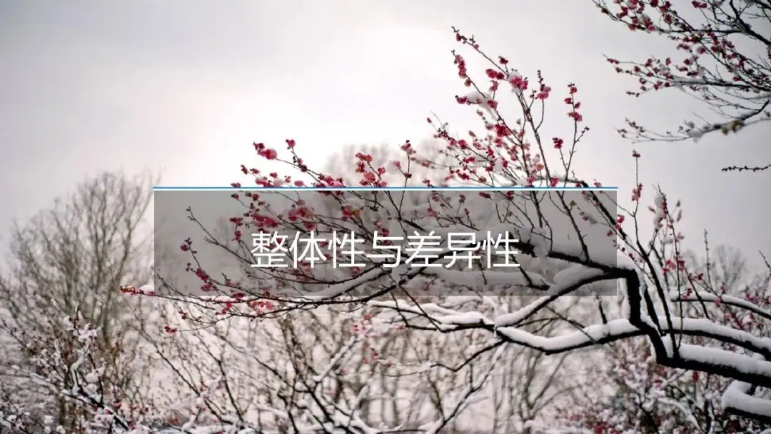 高考备考自然地理小专题思维导图大全-第121张图片-四季读书网