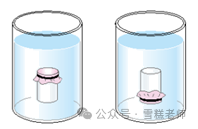 中考热门简答题-第35张图片-四季读书网