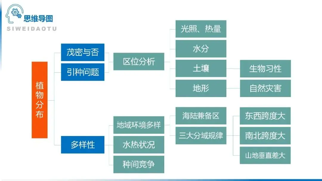 高考备考自然地理小专题思维导图大全-第115张图片-四季读书网