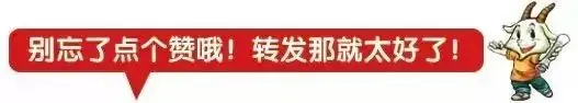 缅怀先烈 誓言青春 奋战中考 ——先锋镇初级中学2021年清明节祭扫活动暨中考誓师大会-第13张图片-四季读书网