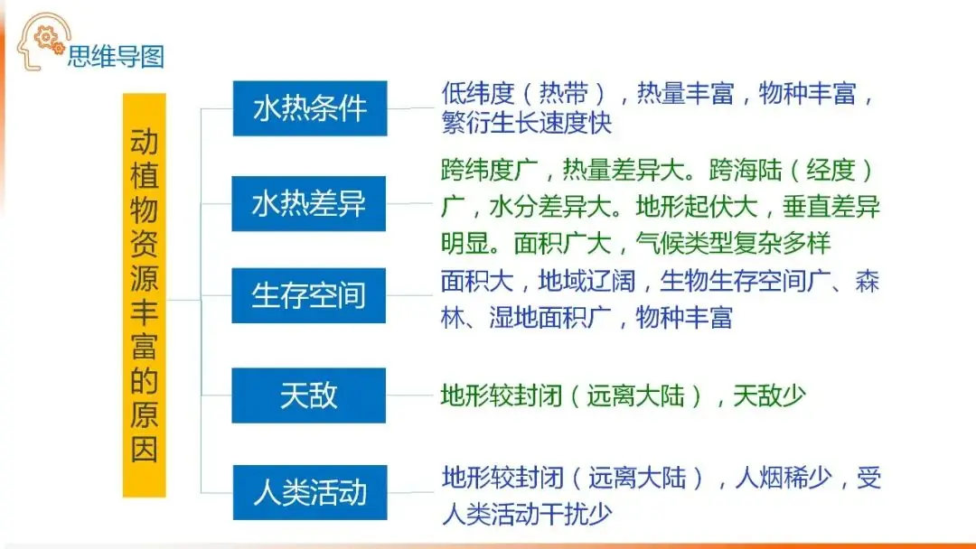 高考备考自然地理小专题思维导图大全-第50张图片-四季读书网