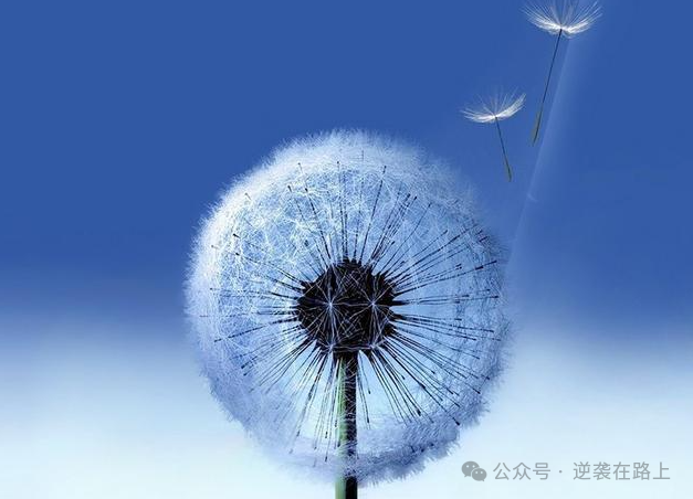 到高考只剩72天,给高三人指几条明路!!不知道方向,比不努力还可怕!方法对了逆袭不再是梦!-第5张图片-四季读书网 到高考只剩72天,给高三人指几条明路!!不知道方向,比不努力还可怕!方法对了逆袭不再是梦!-第5张图片-四季读书网